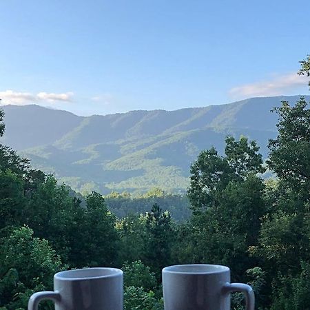 Tennessee Roots By Stony Brook Cabins Gatlinburg Ngoại thất bức ảnh